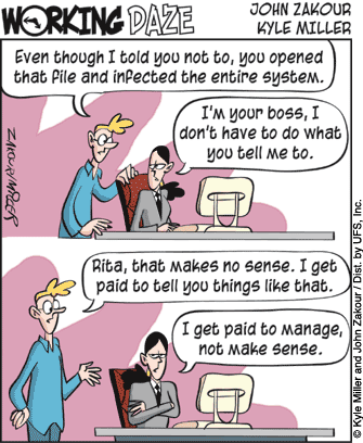 workingdaze